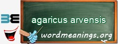 WordMeaning blackboard for agaricus arvensis